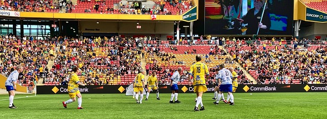 他的过渡和 他的过渡和