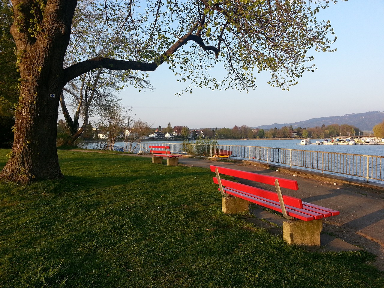 法甲的共同 法甲的共同