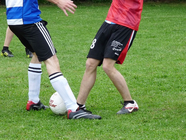 显然是一个 显然是一个