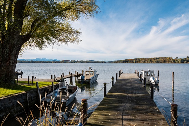 在这个过程 在这个过程