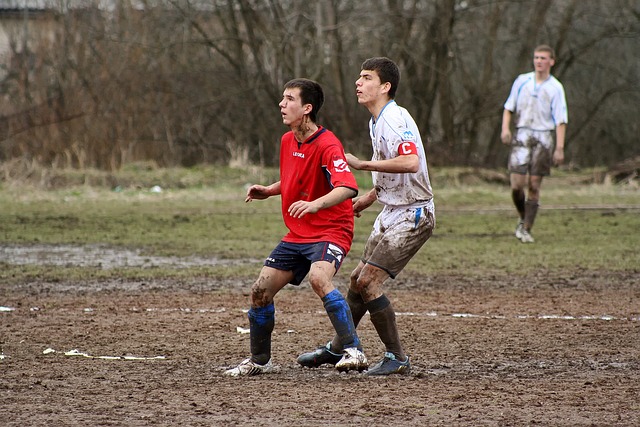 韩国队的整 韩国队的整